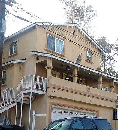 3rd image of 1001 Geraghty Ave