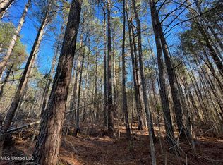 Camden Rd, Camden, MS 39045