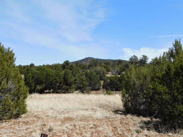 6 County Road 3046, Concho, AZ 85924