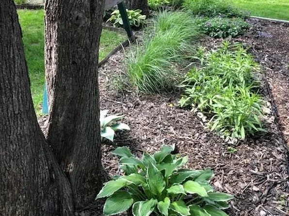 302 E Wea St, Paola, KS 66071