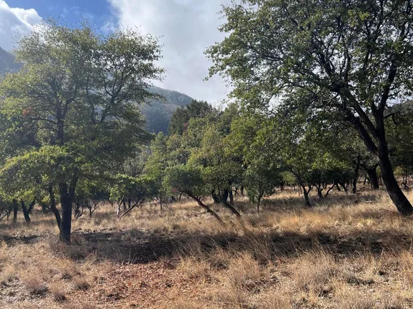 00 Ramsey Canyon -- #-, Hereford, AZ 85615