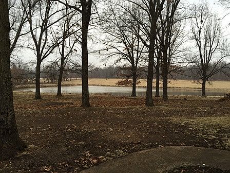 Countryside View / Pond