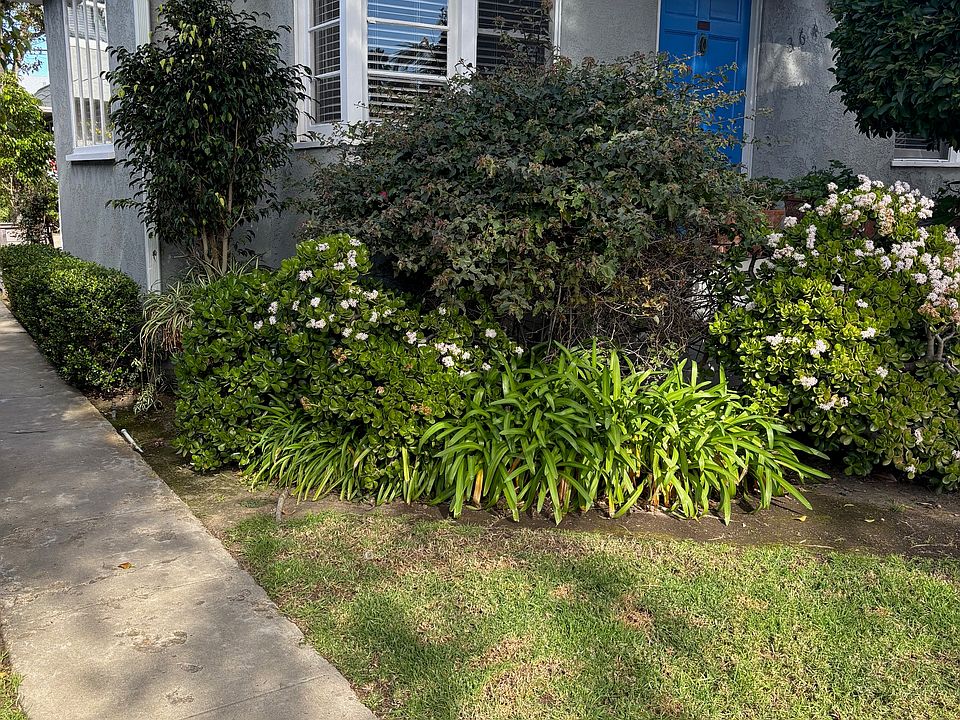 Front of Cottage