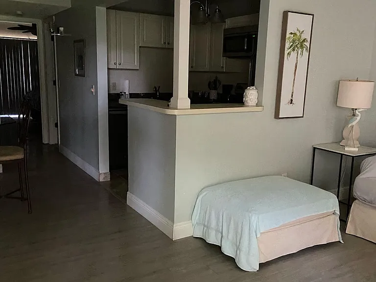 33 Lake Vista Trl #104 — Photo 3