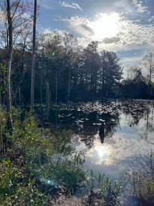 0 Peachtree St, Gilbert, SC, 29054