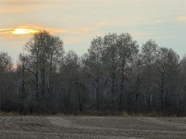 1563 Helena Drive, Holcombe, WI 54731