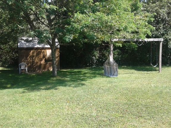 back yard