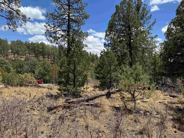 Huff Ave, Timberon, NM 88350