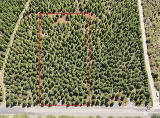 51 Foreman Rd, McCleary, WA 98557