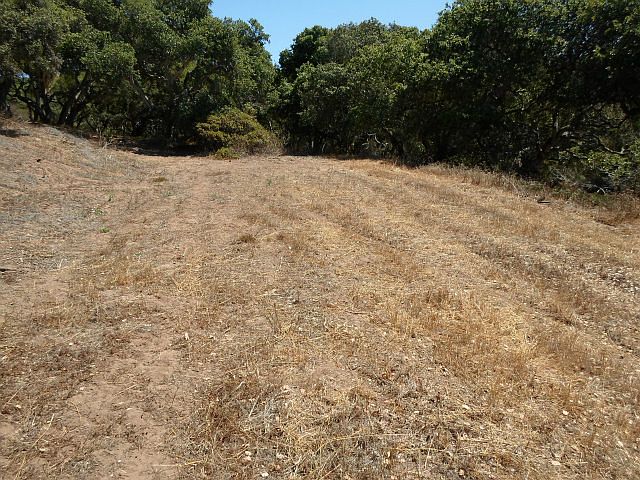 2nd image of 14701 Tumbleweed Ln