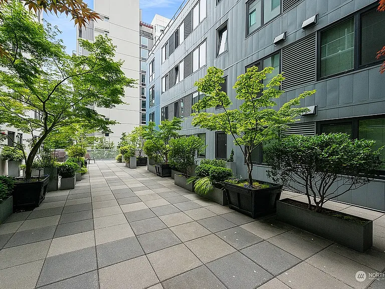 81 Clay St #323 — Photo 41