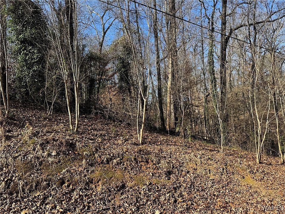 2nd image of 0 E Lake Dr
