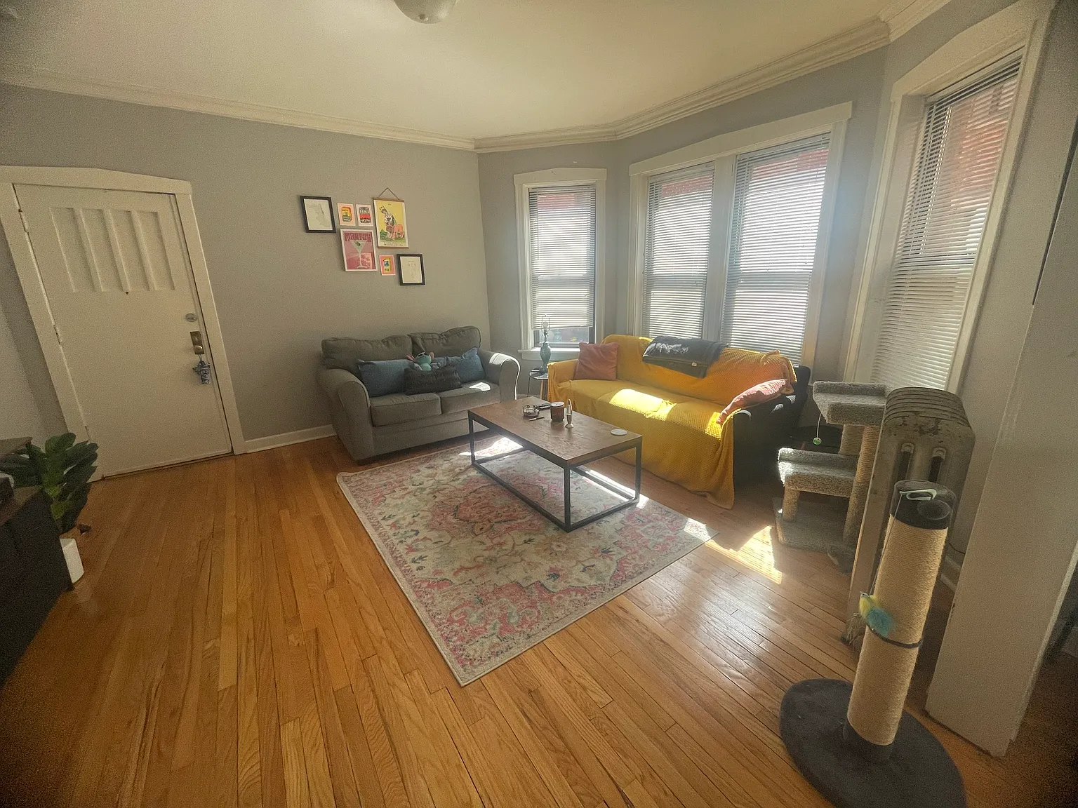 1 bed, $1,500 — Photo 1
