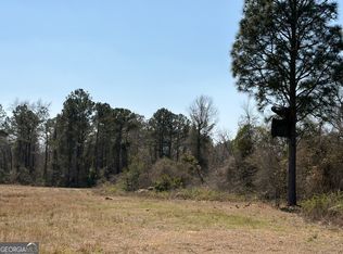 461 Currington Rd, Mauk, GA 31058