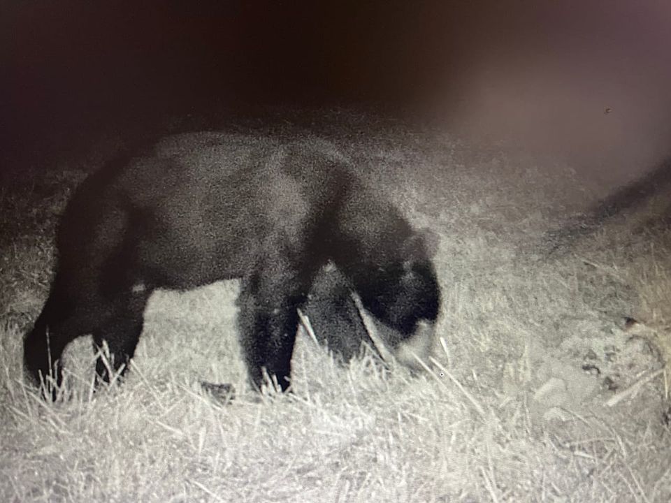 1st image of 2480 County Rd #317