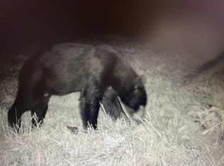 2480 County Rd #317, Wasola, MO 65773