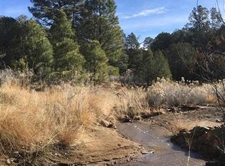 XX Wide Canyon Rd, Silver City, NM 88061