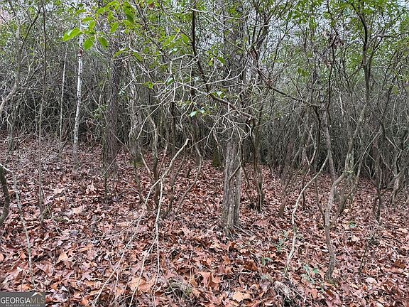 5th image of 23 Ideal Acres Rd