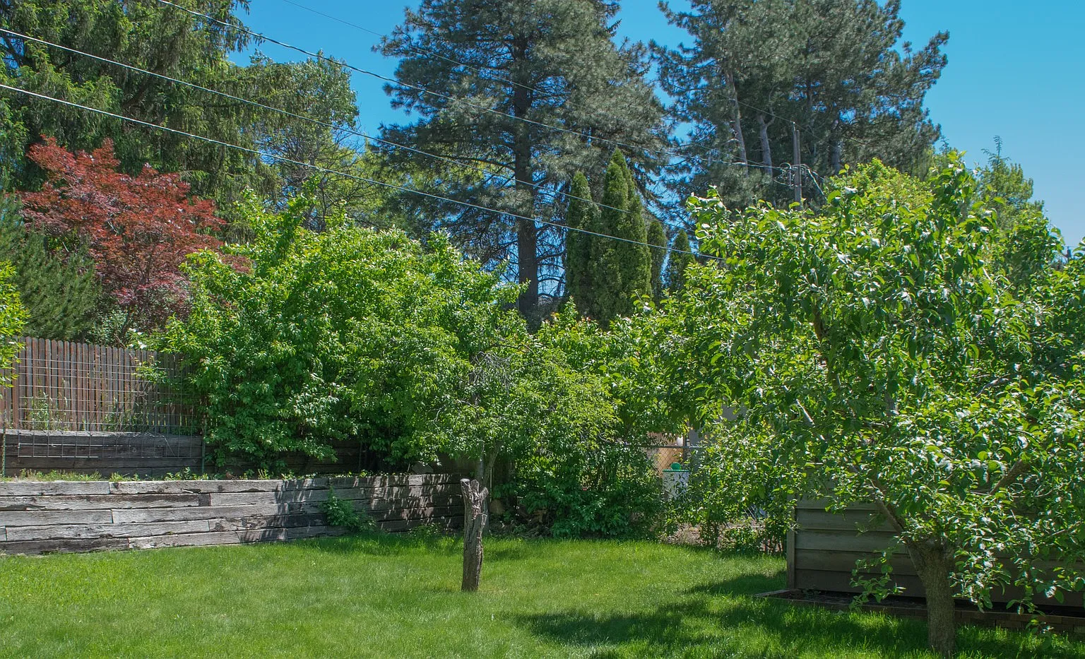 4 Bed, 2 bath on Military Hill! — Photo 2