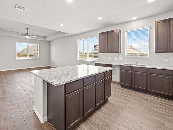 Kitchen to Dining Room and Family Room