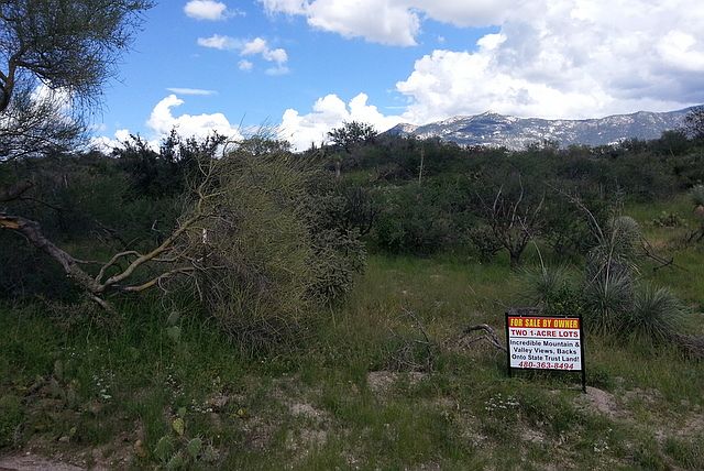 2nd image of 14620 N Swan Road