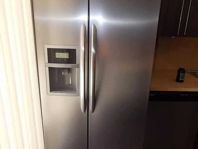 Stainless Steel Appliances - Fridge