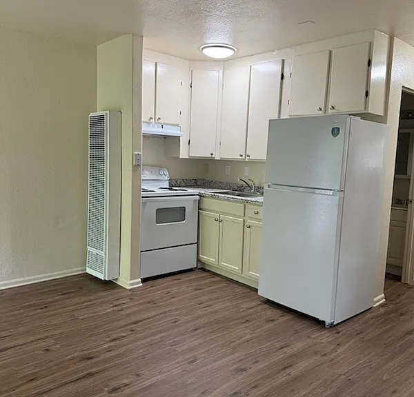 1221 E Fremont St #8 — Photo 5