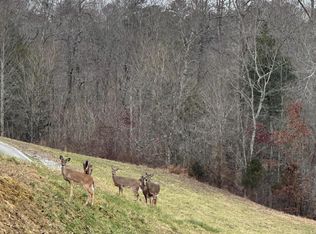 501 Cedar Gate Ln, La Follette, TN 37766