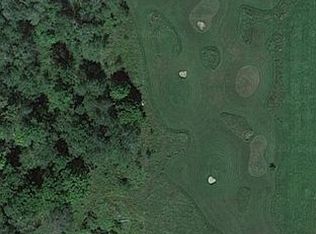 6816 E West Branch Rd, Saint Helen, MI 48656