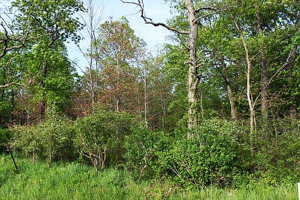 1st image of 6307 County Road 27