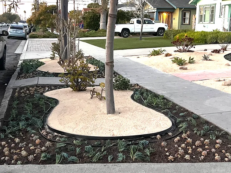 Front Yard