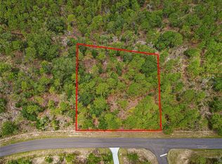 County Road 243b LOT 3, Wildwood, FL 34785