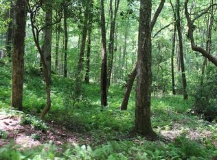 25 N Shelton Springs Dr, Hayesville, NC 28904