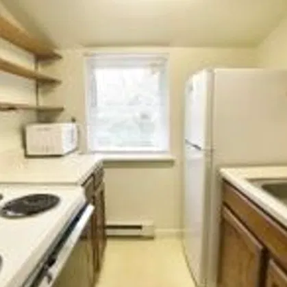 1 bed, $900 — Photo 4