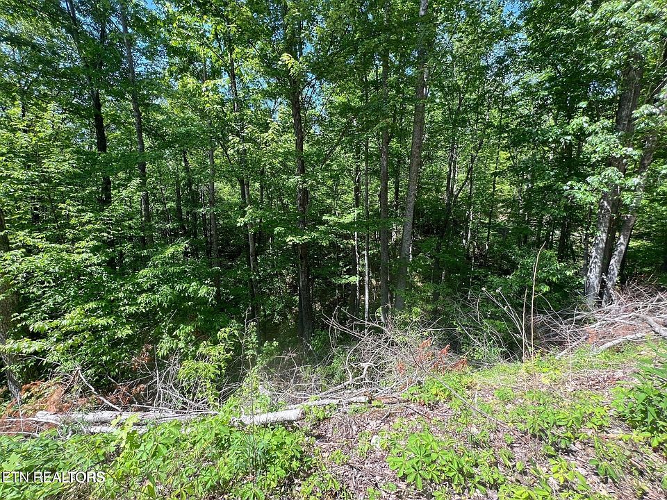 2nd image of 55 Butternut Ln Lot 55