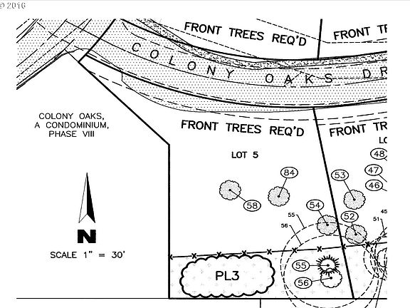 5th image of 3586 Colony Oaks Dr
