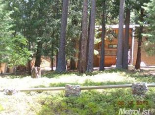 5254 Forest View Dr, Grizzly Flats, CA 95636