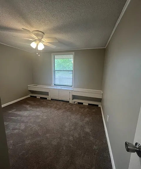 Cedarwood — Photo 12