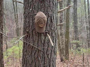 0 Maple Springs Rd, Tellico Plains, TN 37385