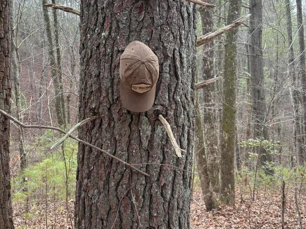 0 Maple Springs Rd, Tellico Plains, TN 37385