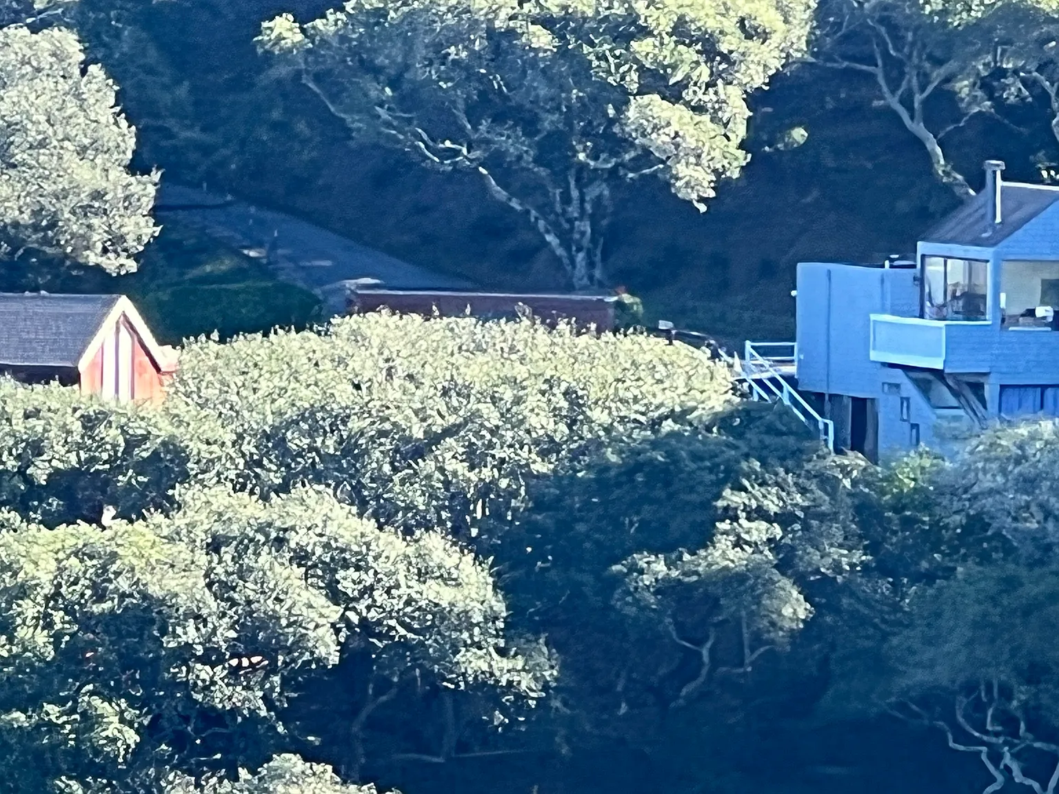 Toyon Ct, Sausalito — Photo 2