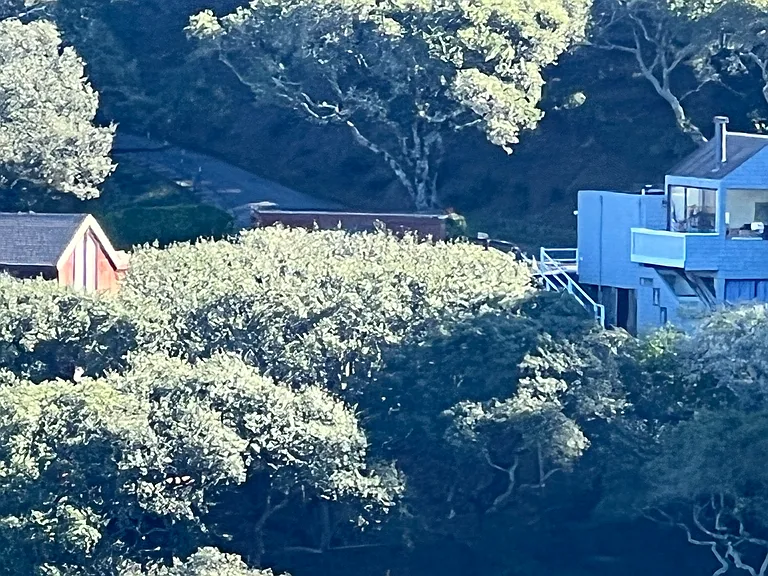 Toyon Ct — Photo 2