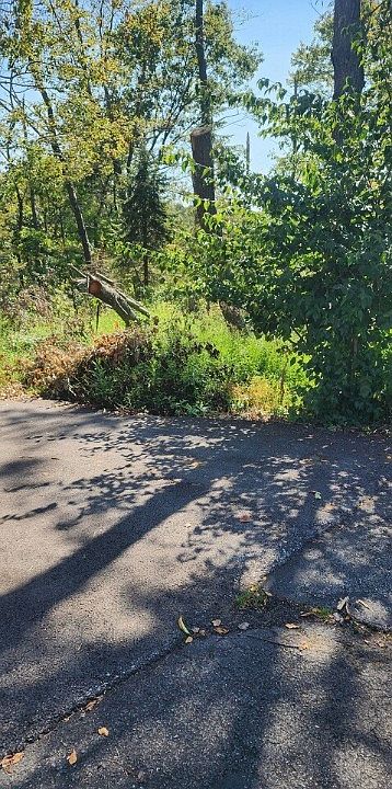 2nd image of 0 Watson Rd