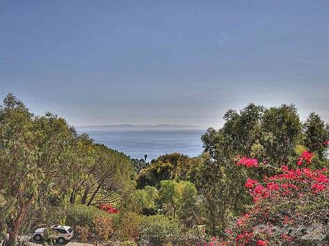 Ocean view (2)