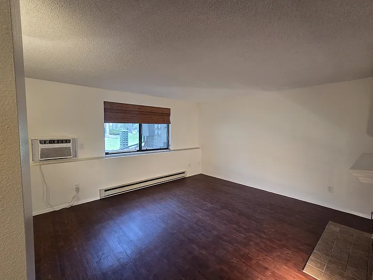Large living area with natural light