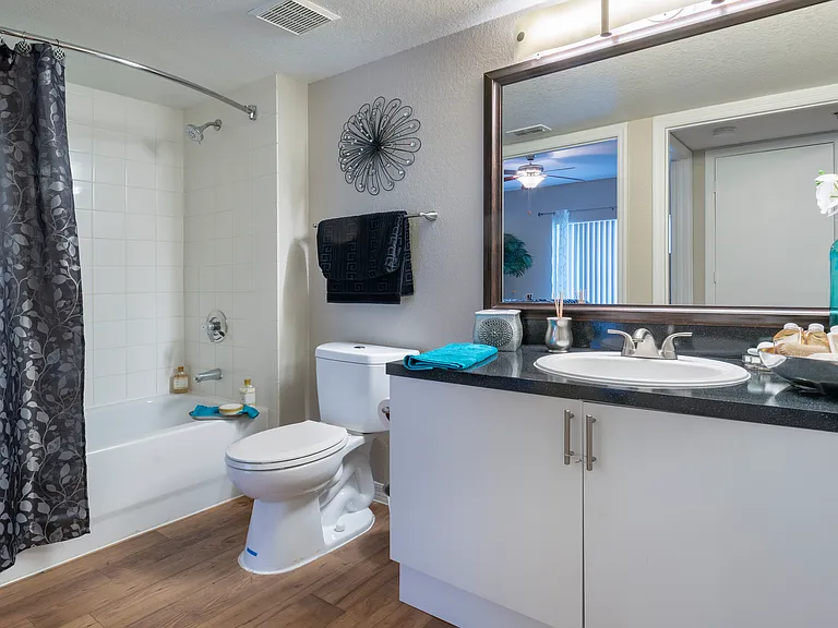 Model Bathroom | Aspire at Gateway