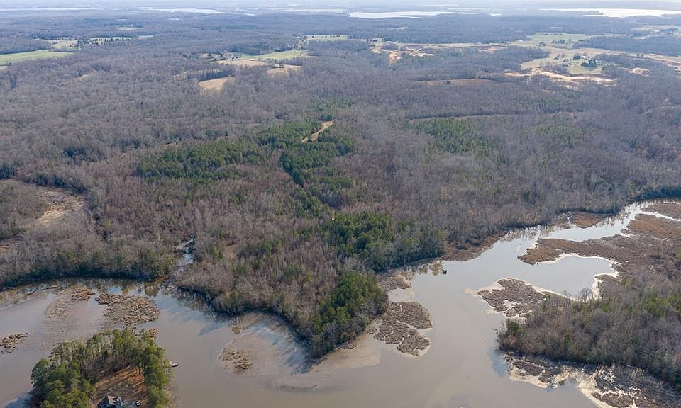 1st image of Tm 9 19 Trigger Ln