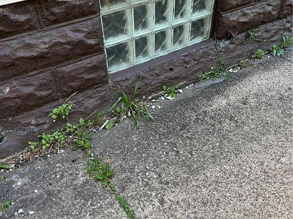 3rd image of 10913 Dove Ave