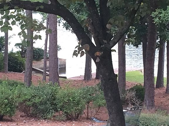3rd image of 417 Dogwood Trl