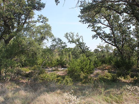 Mature trees, flat lot
